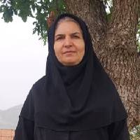 نافعه احمدی